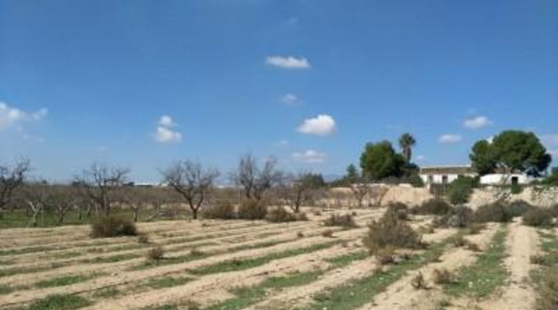 Murcia - Fuente Álamo de Murcia - 4070m2