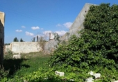 Casa de camp amb terreny en venda a la España, Fuente Álamo, ref.: TR301378 foto