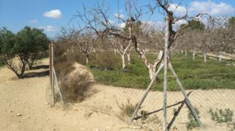 Murcia - Fuente Álamo de Murcia - 4070m2