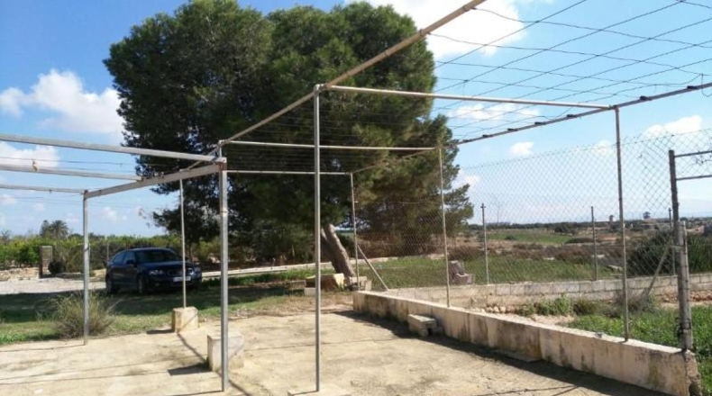 Murcia - Fuente Álamo de Murcia - 4070m2
