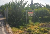 Земля на продажу у города Мурсия Фото
