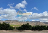 Terreno no urbanizable en venta en la España, Lorca, ref: TR122382 foto