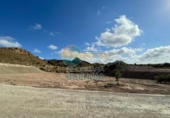 Terreno no urbanizable en venta en la España, Lorca, ref: TR122382 foto