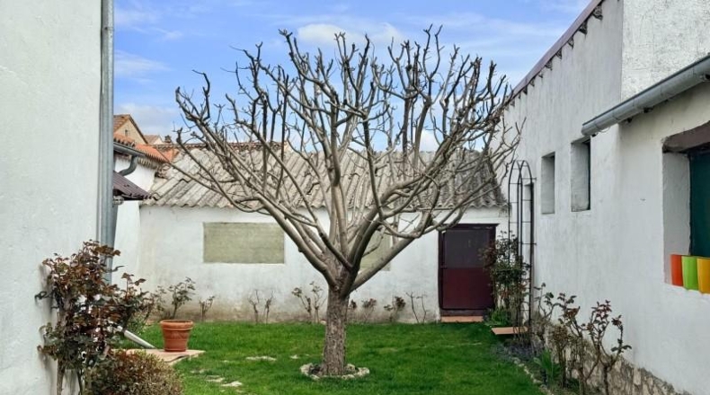 Segovia - Samboal - 312m2