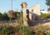Terreny no urbanitzable en venda a la España, Catral, ref.: TR309061 foto
