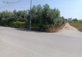 Terreny no urbanitzable en venda a la España, Molina de Segura, ref.: TR271440 foto