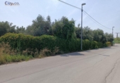 Terreny no urbanitzable en venda a la España, Molina de Segura, ref.: TR271440 foto