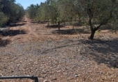 Chalet independiente con terreno en venta en la España, Montbrió del Camp, ref: TR302552 foto
