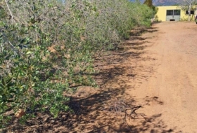 Foto 6