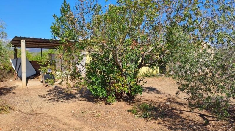 Tarragona - Montbrió del Camp - 21606m2