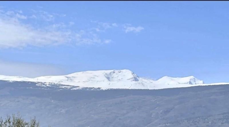 Almeria - Alcolea - 273m2