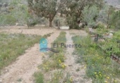 Terreny no urbanitzable en venda a la España, Mazarrón, ref.: TR172120 foto