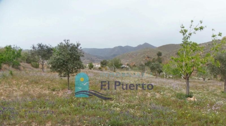 Murcia - Mazarrón - 6900m2