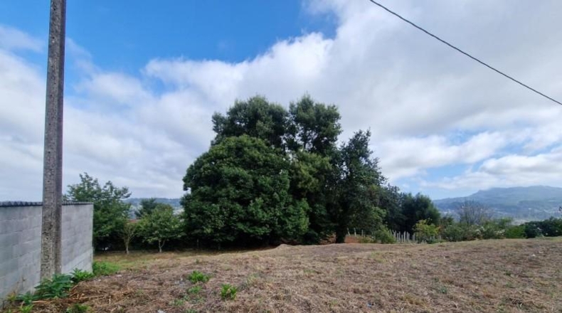 Pontevedra - Gondomar - 1100m2