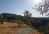 Sòl urbà en venda a la España, San Martín de Valdeiglesias, ref.: TR171001 foto