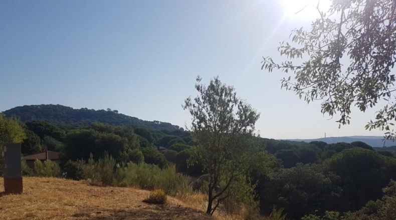 Comunidad de Madrid - San Martín de Valdeiglesias - 900m2