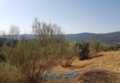 Sòl urbà en venda a la España, San Martín de Valdeiglesias, ref.: TR171001 foto