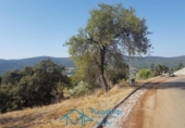 Sòl urbà en venda a la España, San Martín de Valdeiglesias, ref.: TR171001 foto