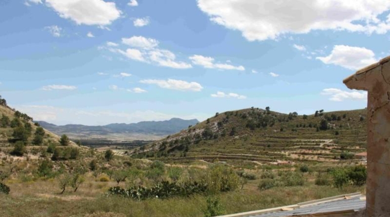 Murcia - Murcia - 360000m2