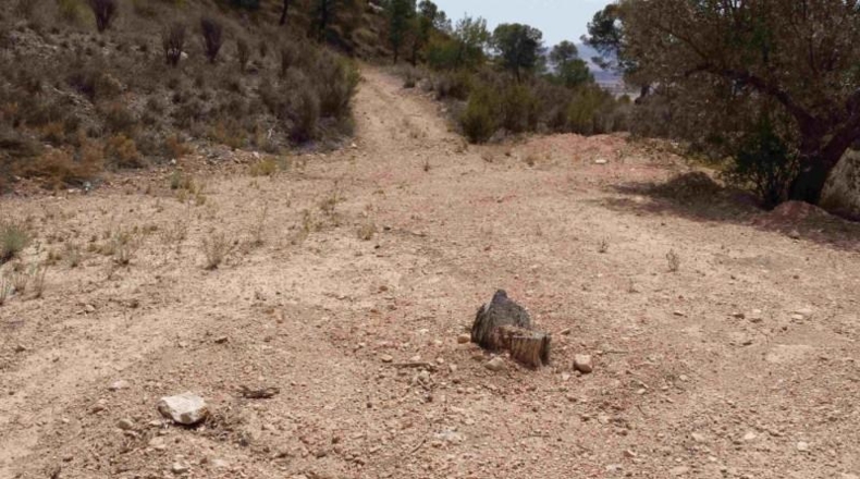 Murcia - Murcia - 360000m2