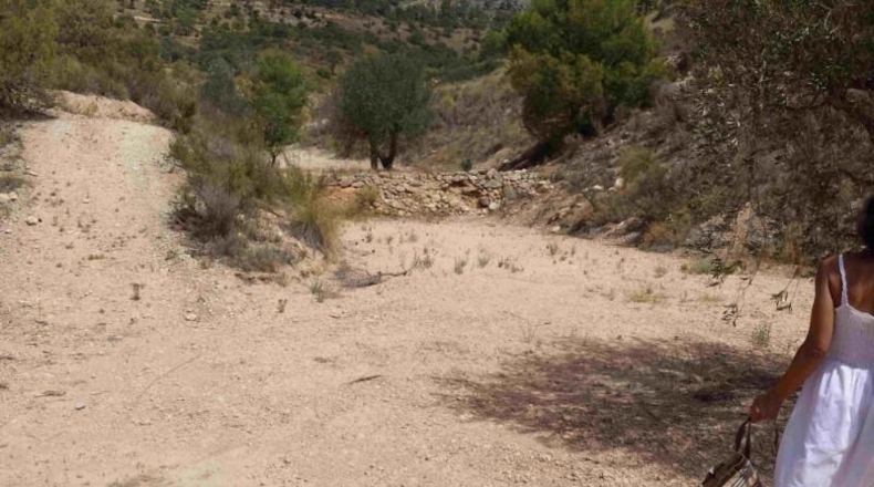 Murcia - Murcia - 360000m2