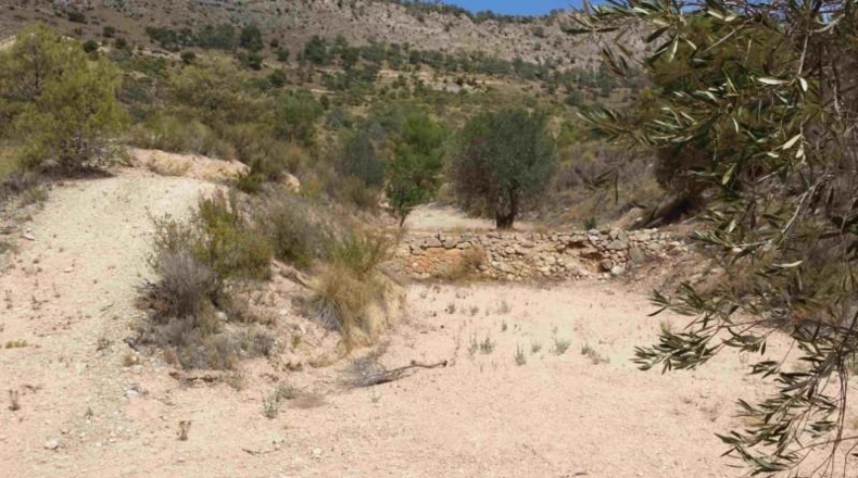Murcia - Murcia - 360000m2