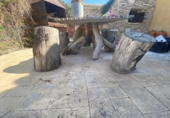 Casa de campo con terreno en venta en la España, Jumilla, ref: TR295446 foto
