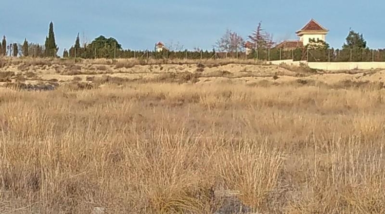 Burgos - Rebolledo de la Torre - 10679m2