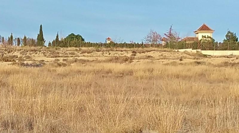 Burgos - Rebolledo de la Torre - 10679m2