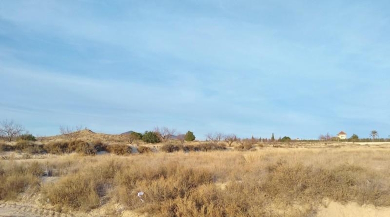 Burgos - Rebolledo de la Torre - 10679m2