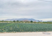 Sòl urbà en venda a la España, Múrcia, ref.: TR127893 foto