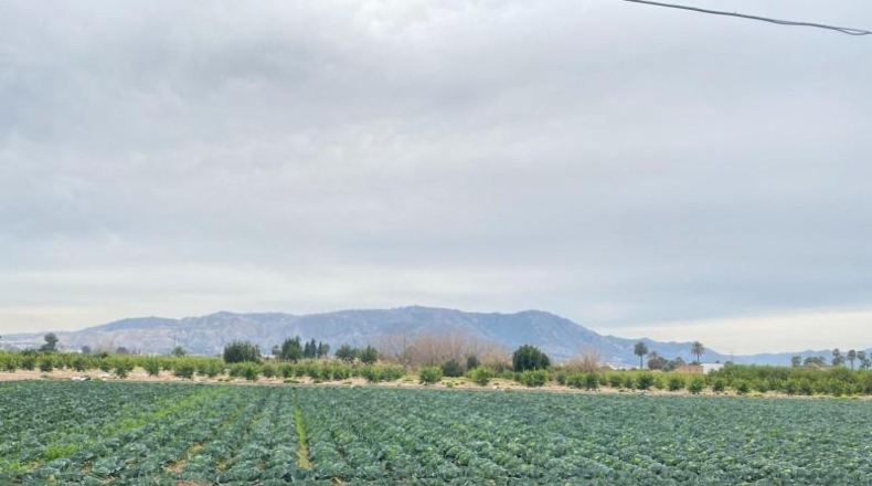 Múrcia - Múrcia - 1700m2