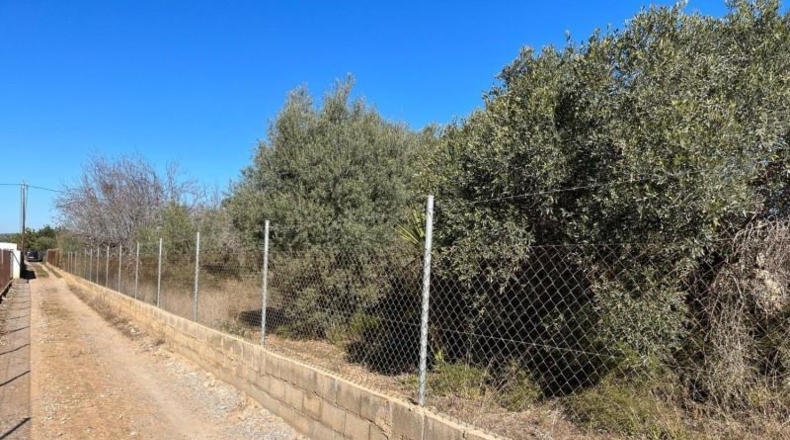 Castellón - Беникарло - 2000m2