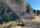 Xalet independent amb terreny en venda a la España, Benicarló, ref.: TR295396 foto
