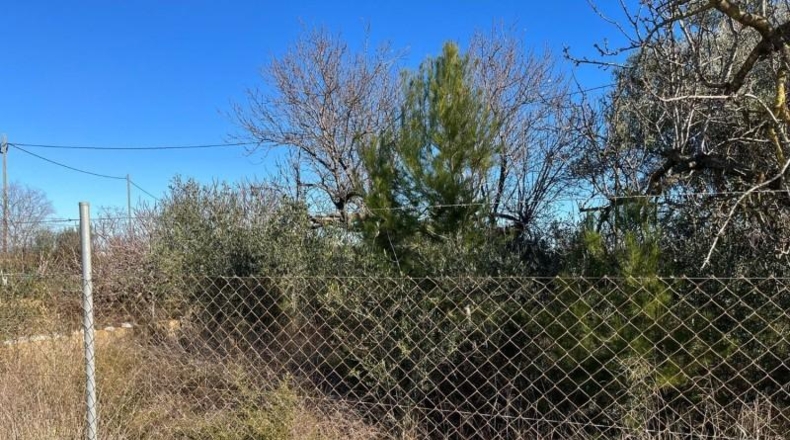 Castellón - Беникарло - 2000m2