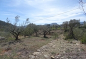 Casa de camp amb terreny en venda a la España, Alcalalí, ref.: TR295660 foto