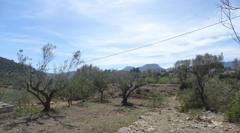 Alicante - Alcalalí - 1167m2