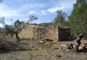 Casa de camp amb terreny en venda a la España, Alcalalí, ref.: TR295660 foto