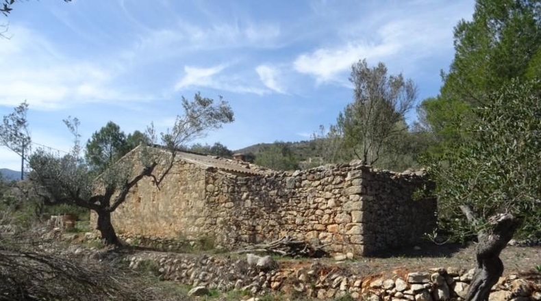 Alicante - Alcalalí - 1167m2