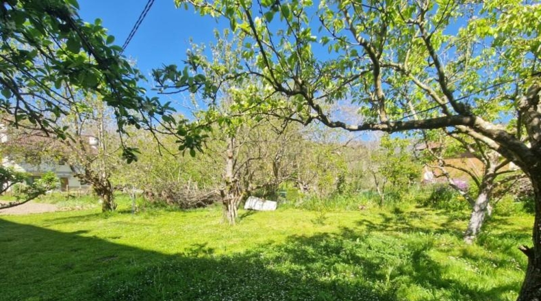 Burgos - Tarriba - 1000m2