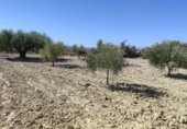 Terreno no urbanizable en venta en la España, Abanilla, ref: TR129906 foto