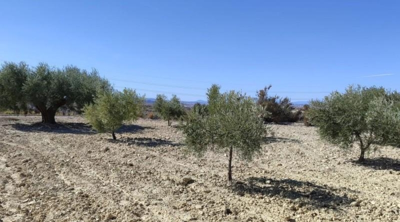 Murcia - Abanilla - 43684m2