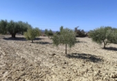 Terreno no urbanizable en venta en la España, Abanilla, ref: TR129906 foto
