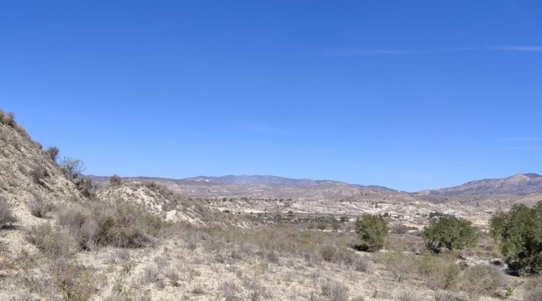 Murcia - Abanilla - 43684m2