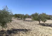 Terreno no urbanizable en venta en la España, Abanilla, ref: TR129906 foto