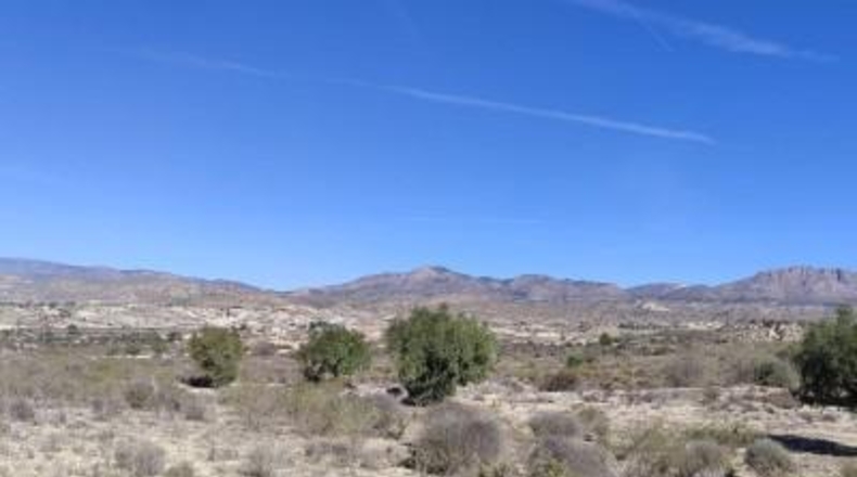 Murcia - Abanilla - 43684m2