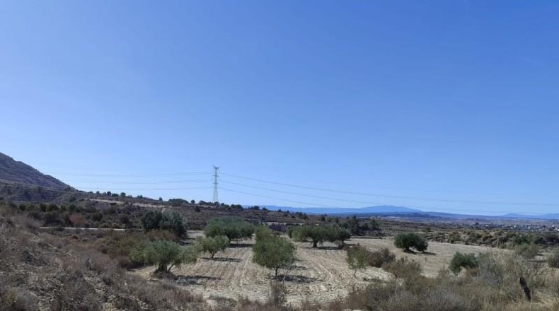 Murcia - Abanilla - 43684m2