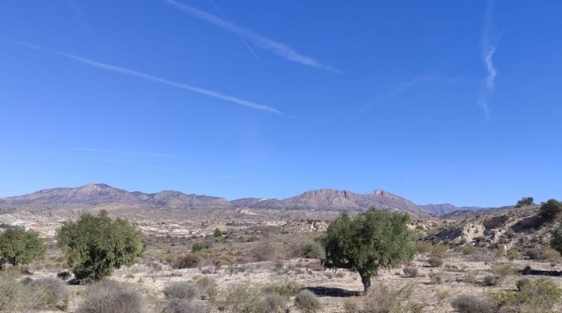 Murcia - Abanilla - 43684m2