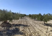 Terreno no urbanizable en venta en la España, Abanilla, ref: TR129906 foto