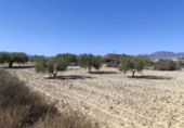 Terreno no urbanizable en venta en la España, Abanilla, ref: TR129906 foto